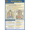 Nursing- Laminated 2-Panel Info Guide